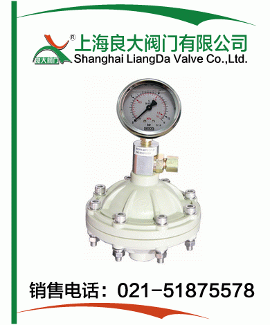 PP、PVDF脈沖阻尼器